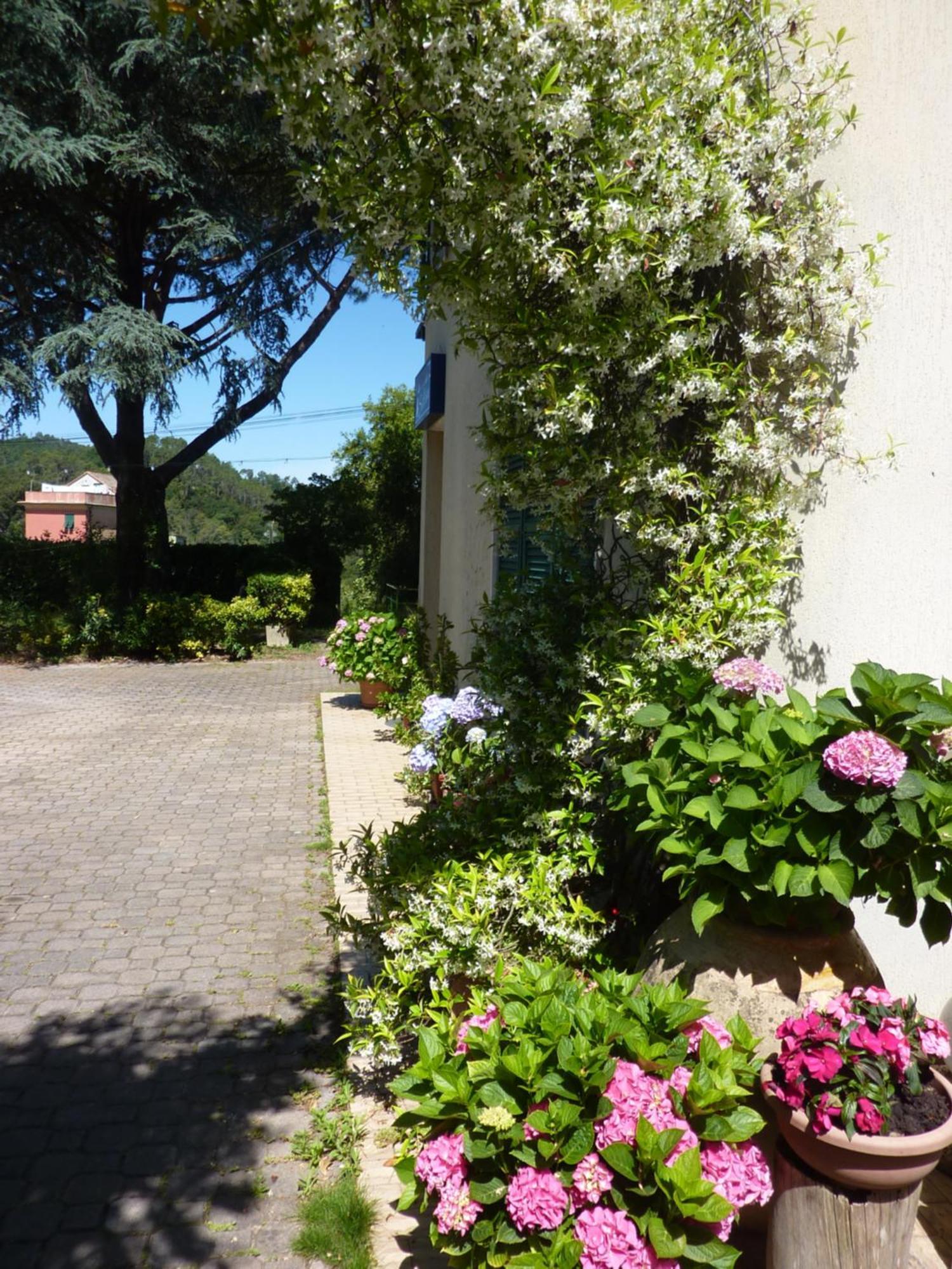 Hotel Silvia Framura - Cinque Terre Ngoại thất bức ảnh