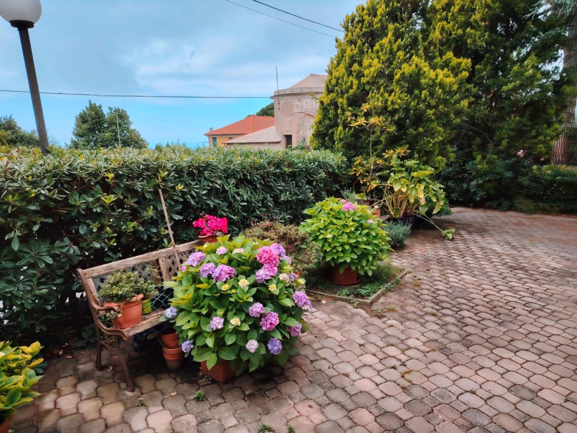 Hotel Silvia Framura - Cinque Terre Ngoại thất bức ảnh