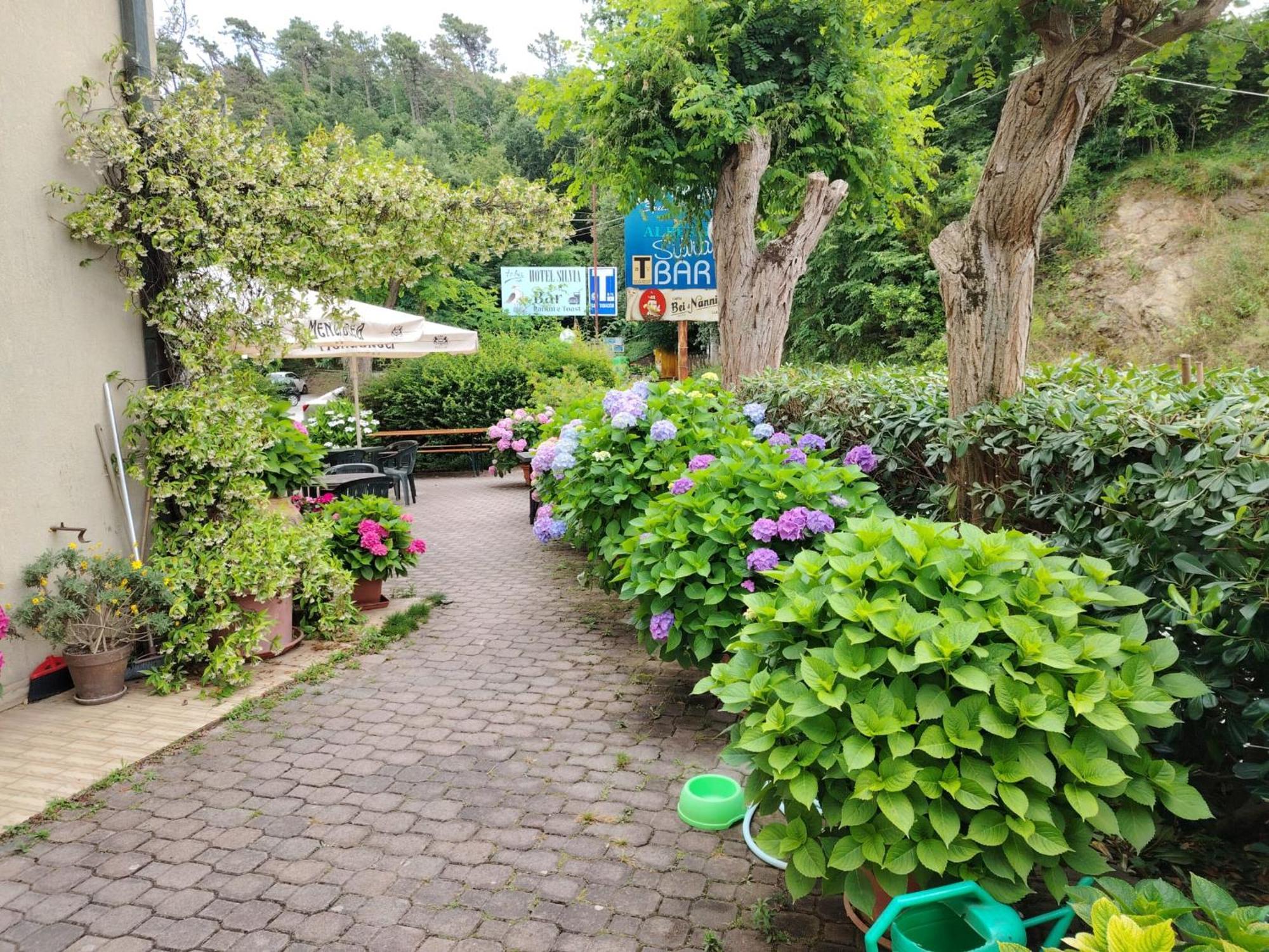 Hotel Silvia Framura - Cinque Terre Ngoại thất bức ảnh
