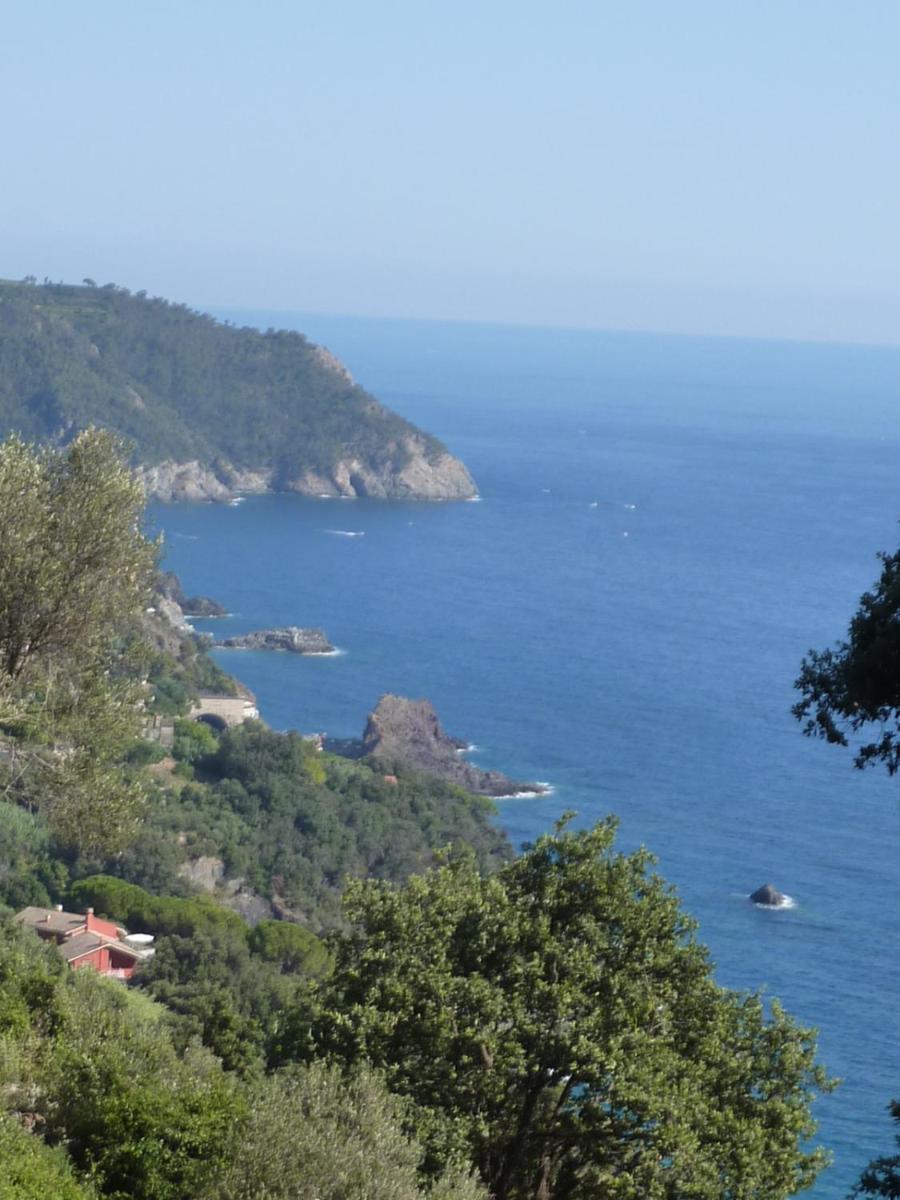 Hotel Silvia Framura - Cinque Terre Ngoại thất bức ảnh