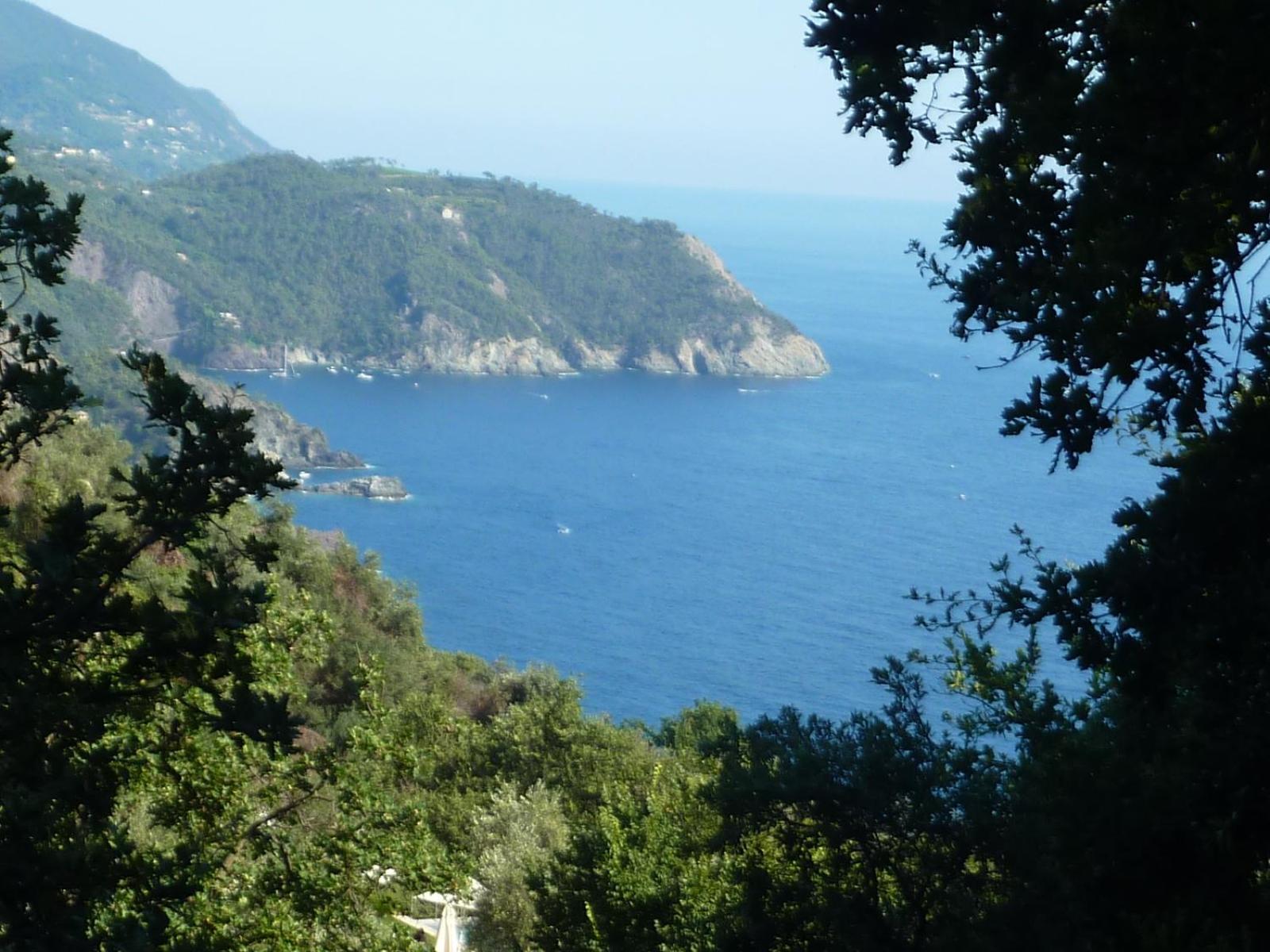 Hotel Silvia Framura - Cinque Terre Ngoại thất bức ảnh